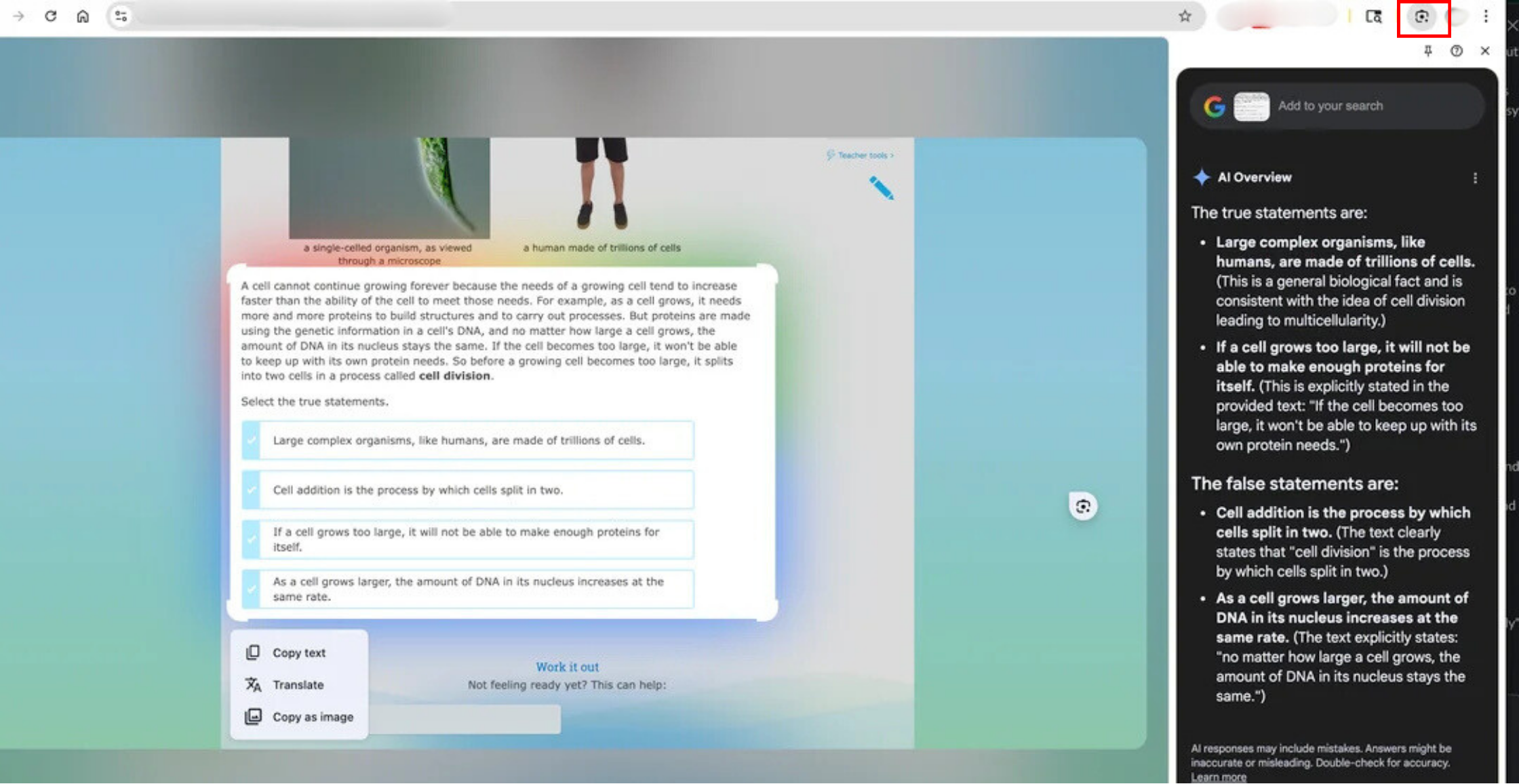 google homework helper