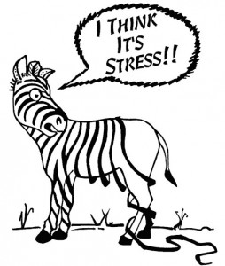 Stress test comic